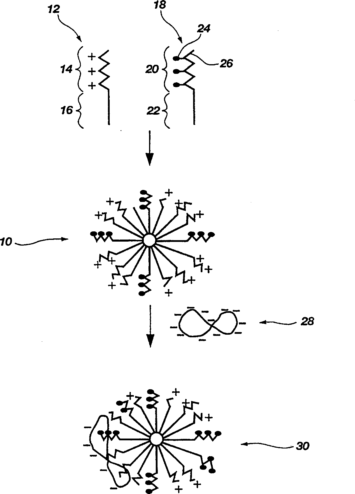 Biodegradable mixed polymeric micelles for gene delivery