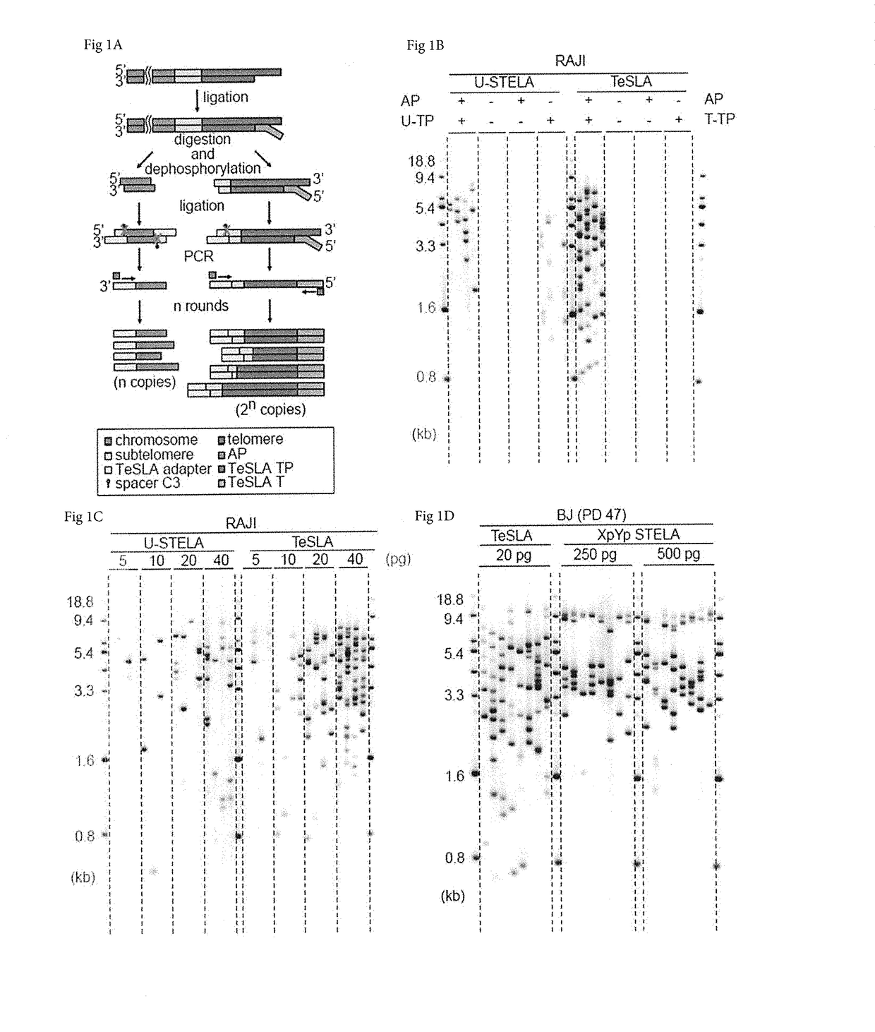 Method to measure the shortest telomeres