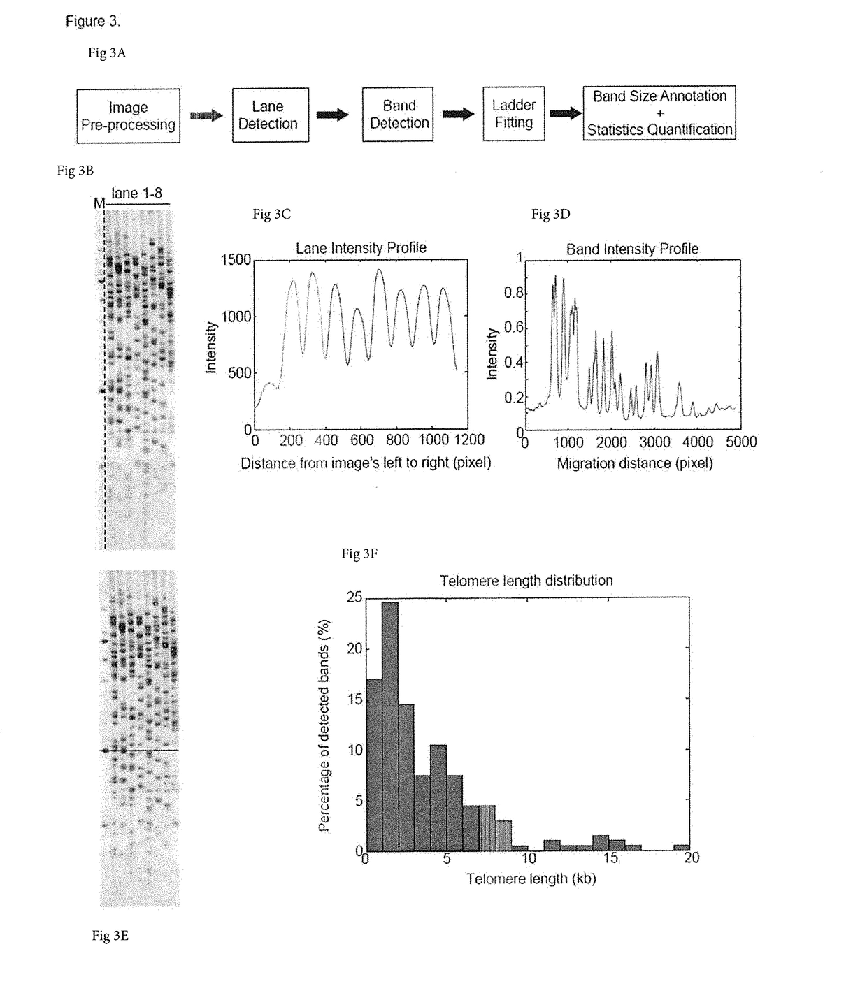 Method to measure the shortest telomeres