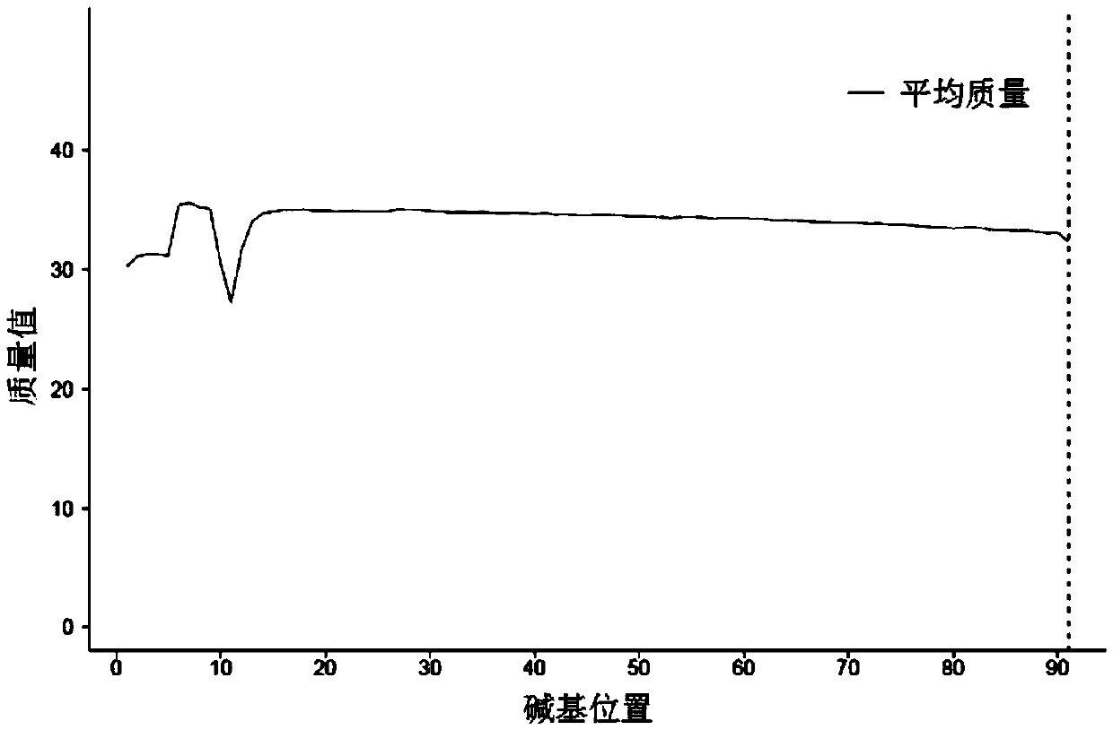 Determining method for sequencing enzyme digestion combination in sequencing genotyping technology