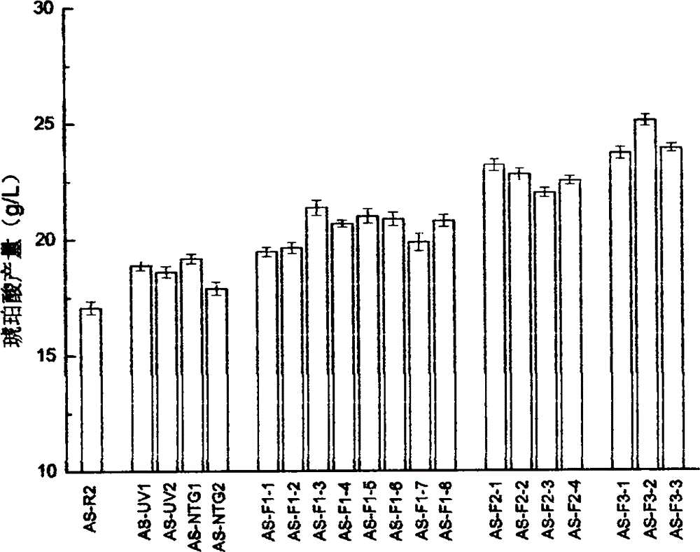 Acid resistance and high succinic acid yield strain and preparation method thereof