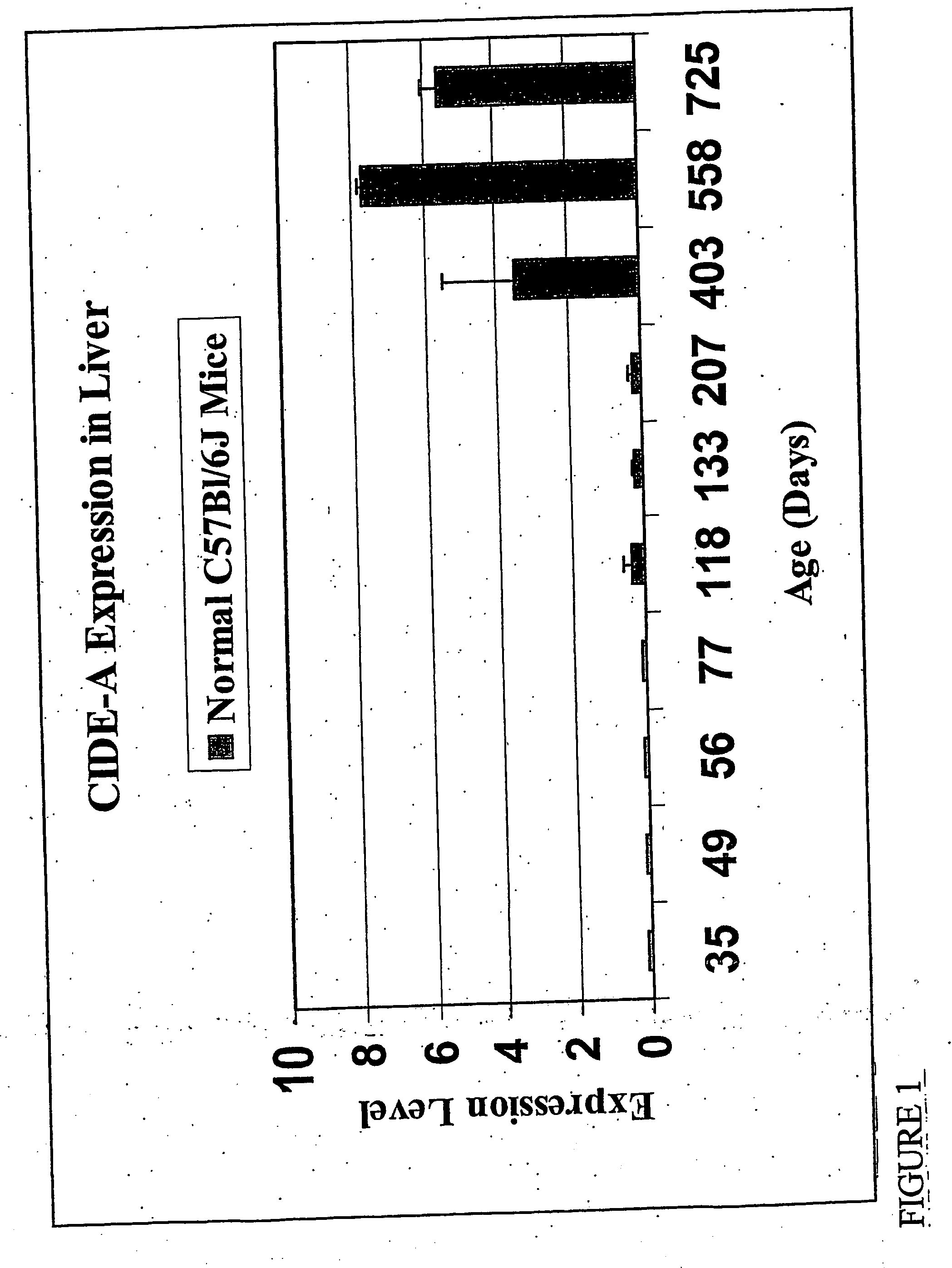 Diagnosis and treatment methods related to aging, especially of liver