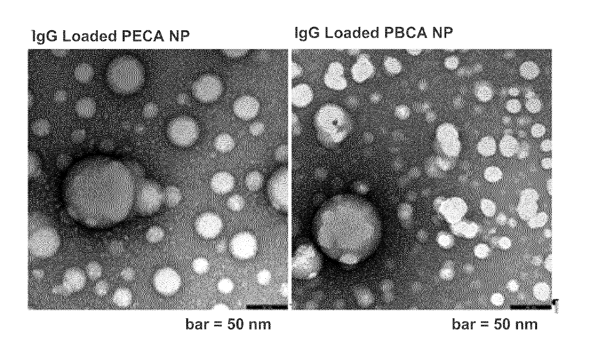 Surface-modified nanospheres encapsulating antigen-binding molecules