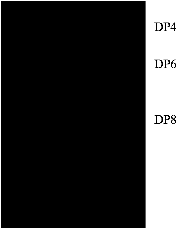 Gracilaria lemaneiformis agar oligosaccharide and preparation method and application thereof