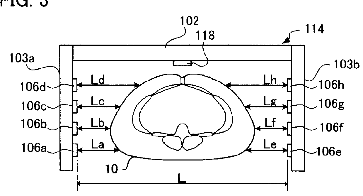 Body composition measuring apparatus