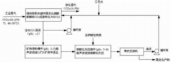 Method and device for immobilizing CO2 by enhancing mineral carbonation