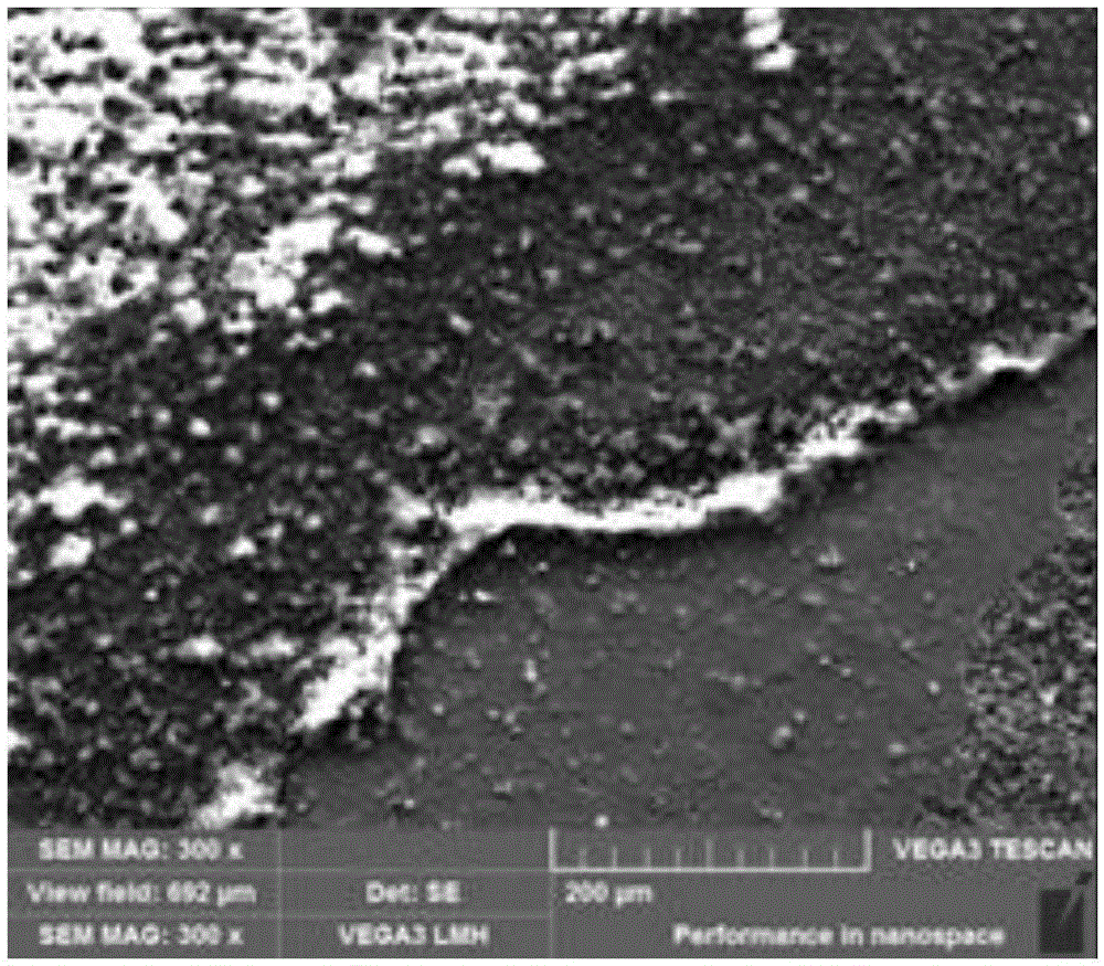 Electrodeposition method, electrodeposition solution and method for preparation of rare earth permanent magnetic material by electrodeposition