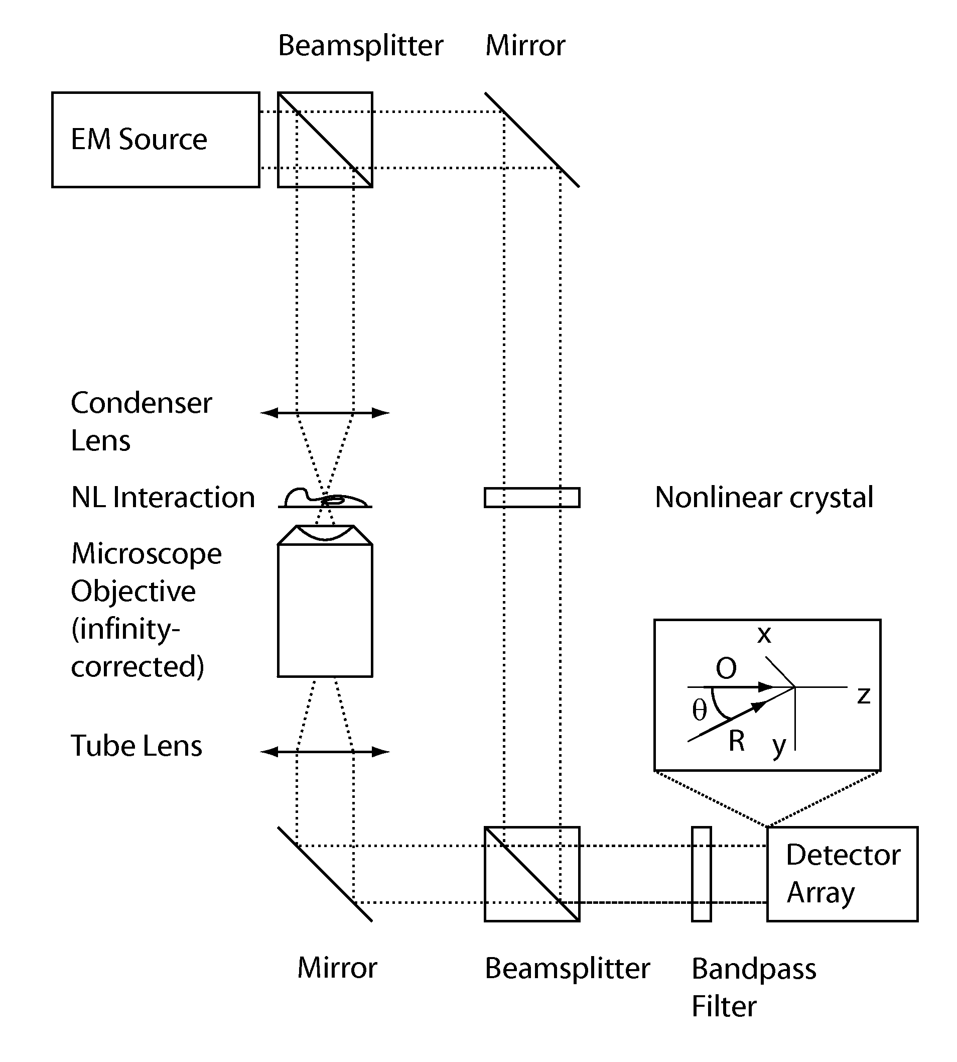 Method and apparatus for retrieval of amplitude and phase of nonlinear electromagnetic waves