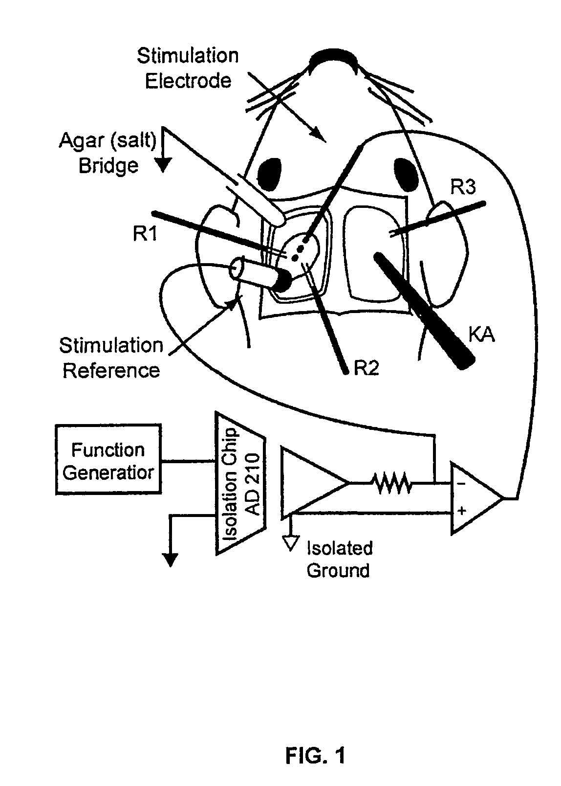 Methods and devices for determining brain state