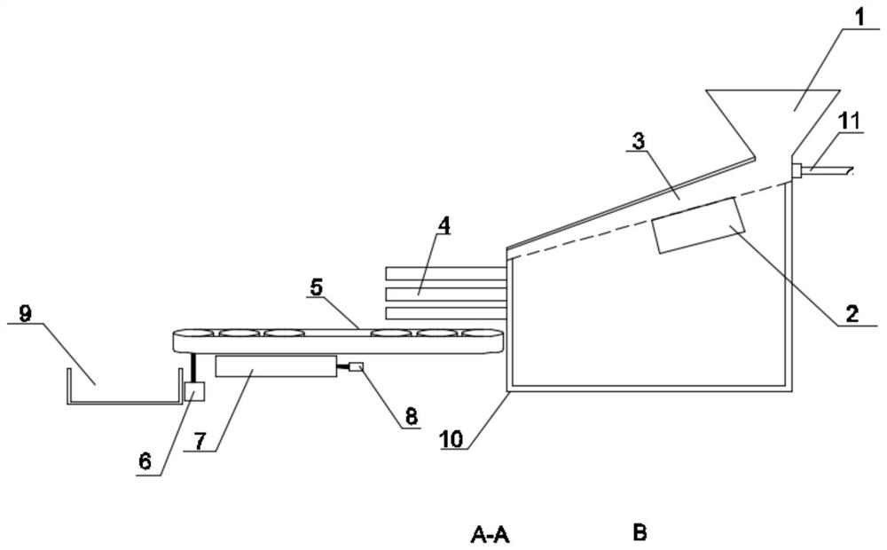 Margarya tail removing machine