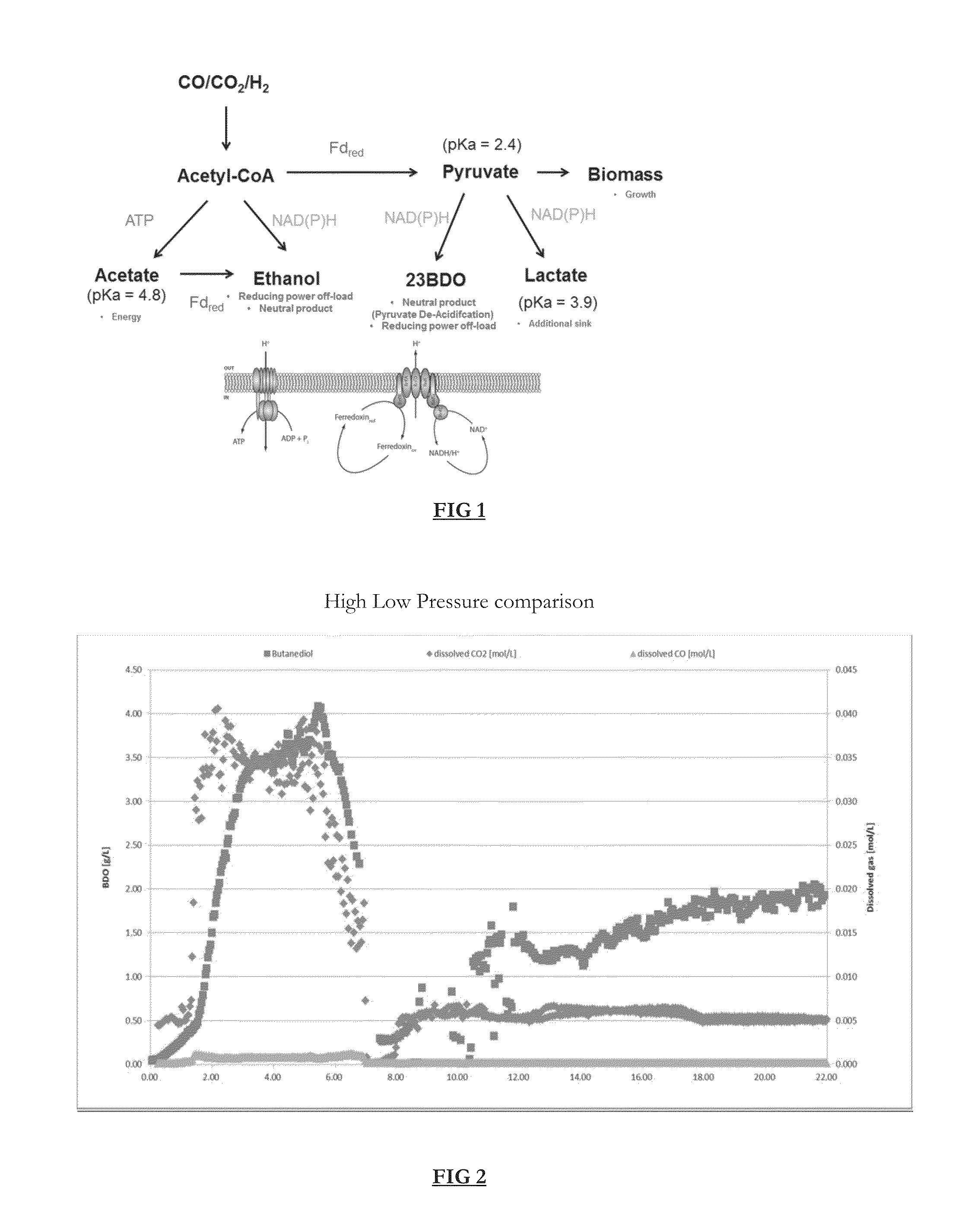 System and method for controlling metabolite production in a microbial fermentation