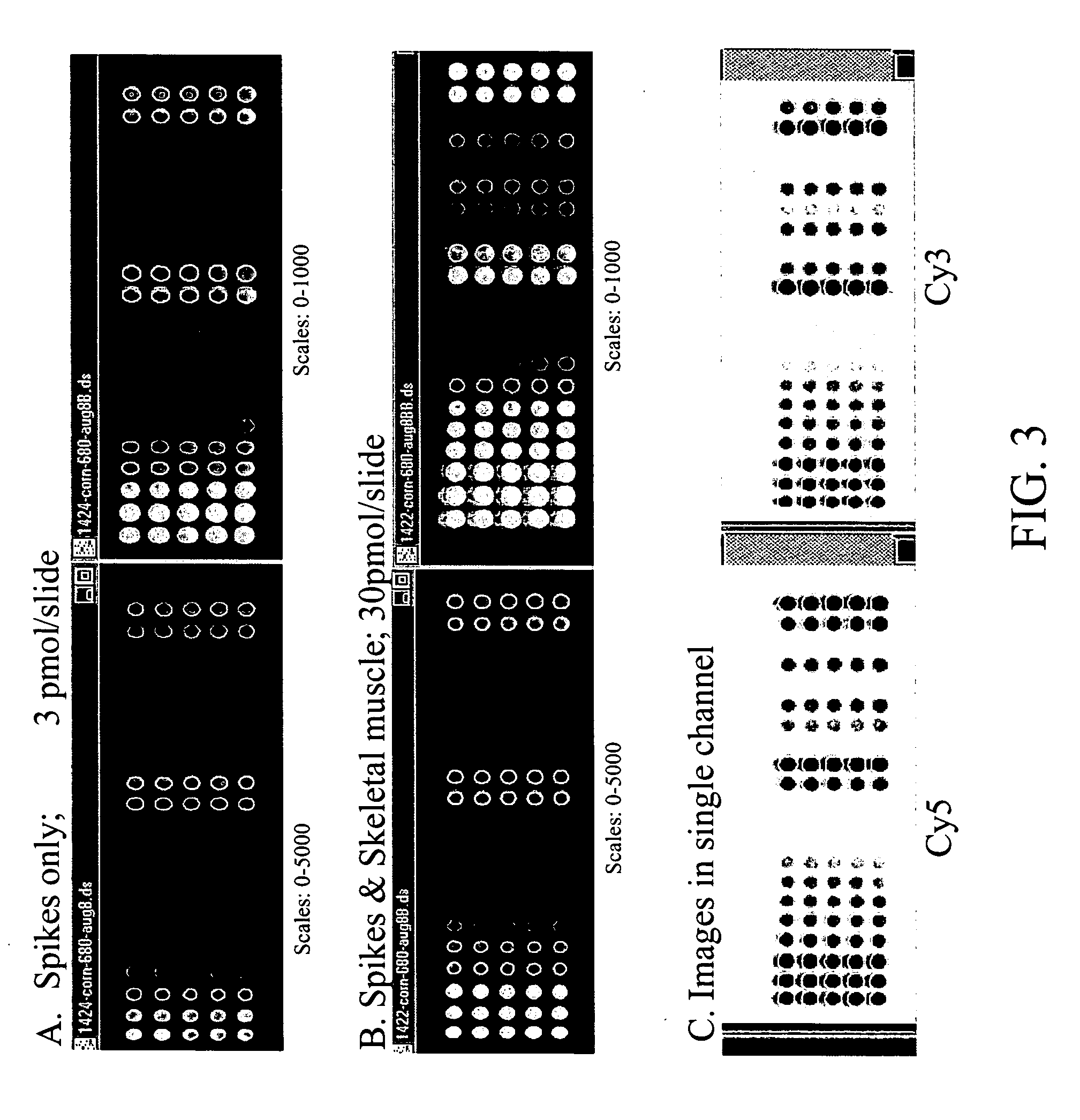 Artificial genes for use as controls in gene expression analysis systems