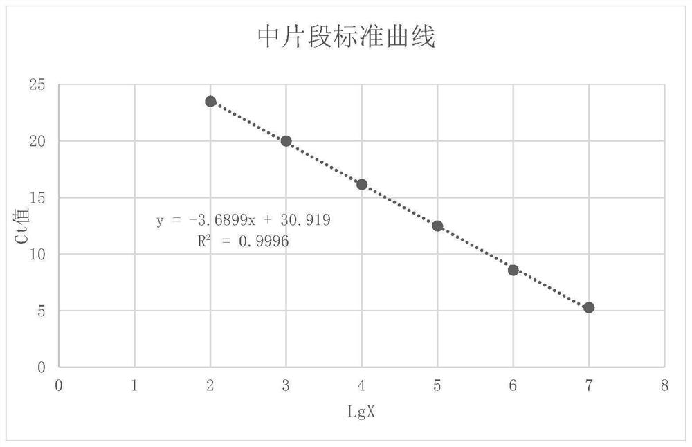 Method for judging blood stain formation time in forensic medicine by detecting RNA degradation degree