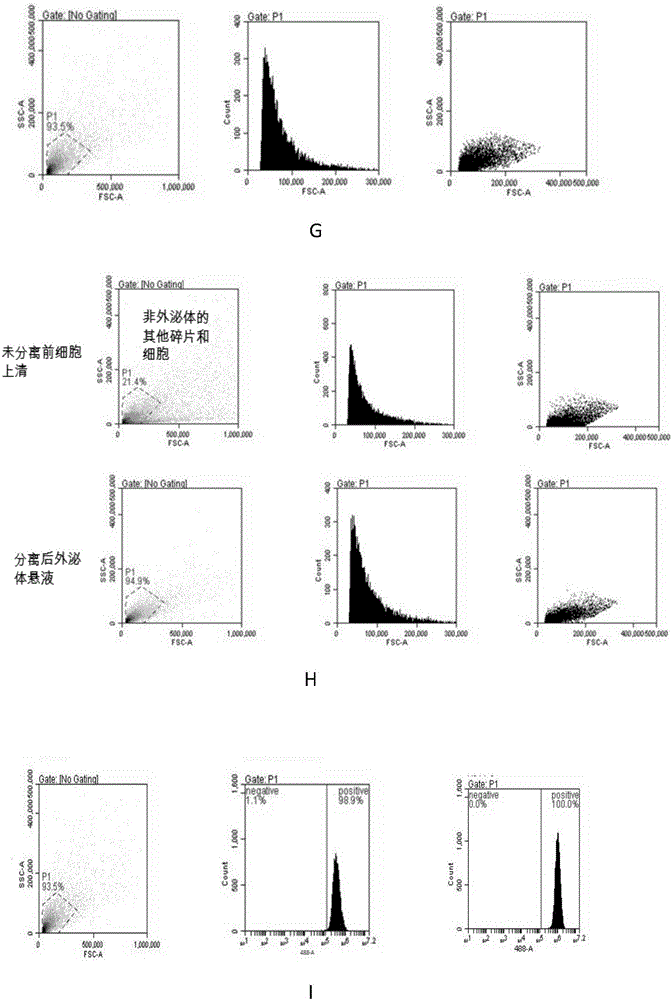 Method and kit for separating exosome