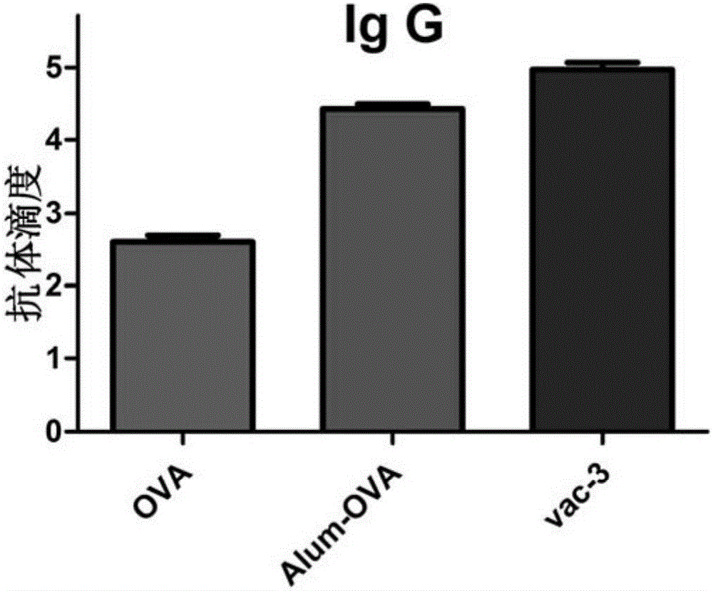 Short peptide, application of short peptide as vaccine adjuvant, and vaccine