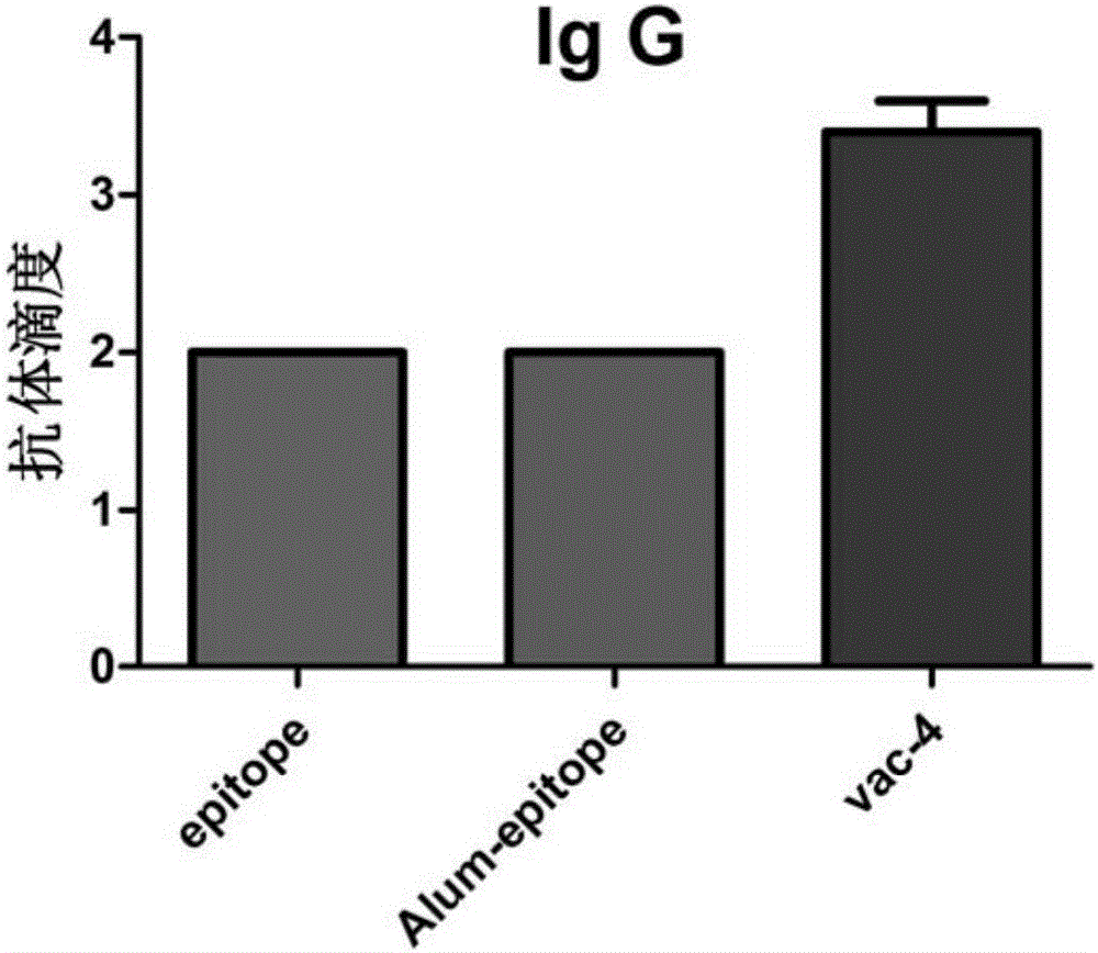 Short peptide, application of short peptide as vaccine adjuvant, and vaccine