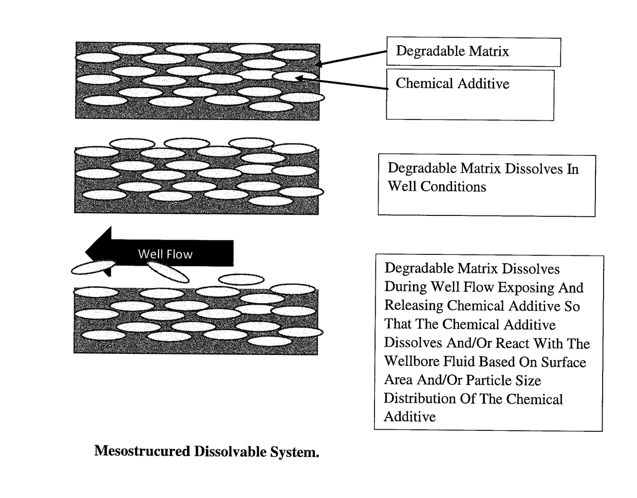 Method of Assuring Dissolution of Degradable Tools