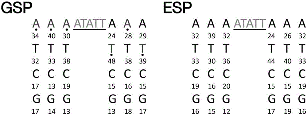 Method for screening rice tissue specific expression type cis-acting element and flanking sequence thereof