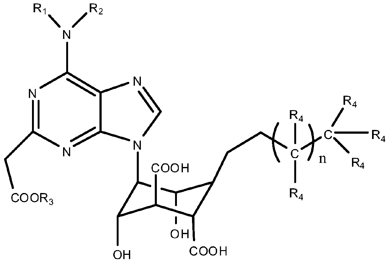 Polyfunctional purine-based compound and preparation method thereof, and applications of polyfunctional purine-based compound in preparation of superhydrophobic materials