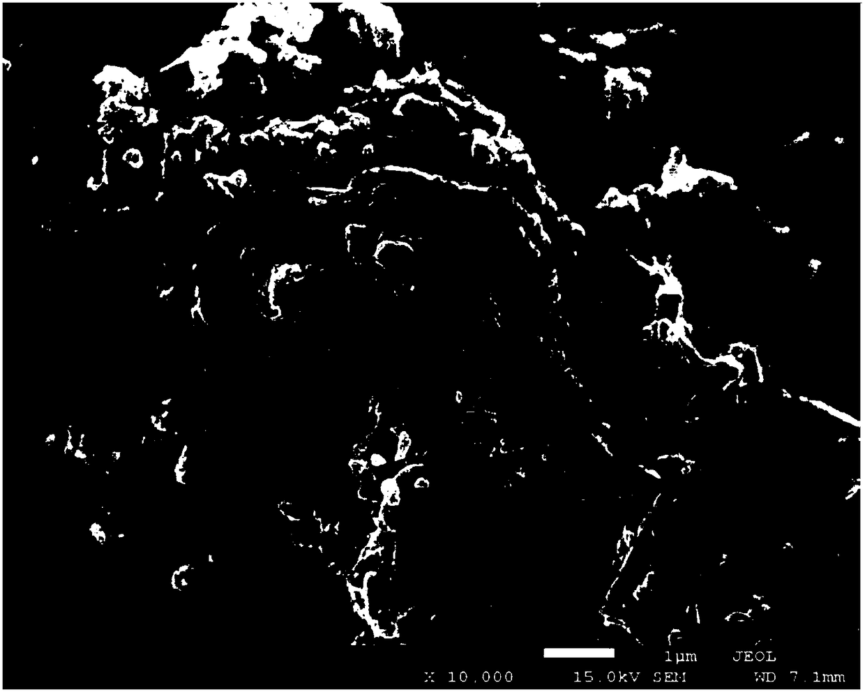 Active anode active material, preparation method thereof and lithium ion battery