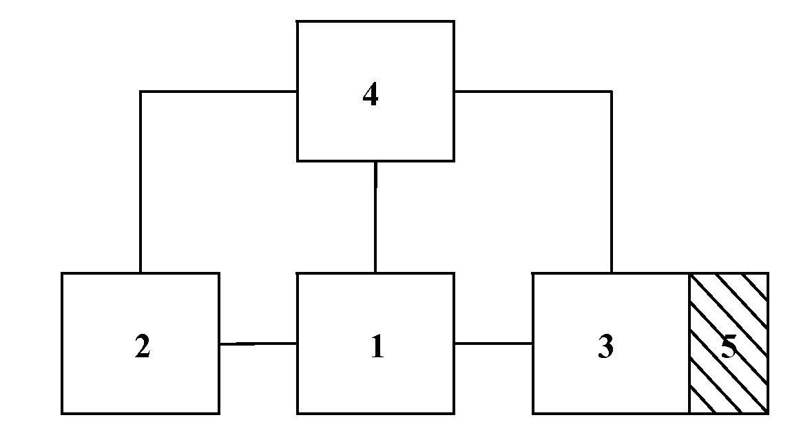 Method for optimising functional status of vegetative systems of an organism and a device for carrying out said method