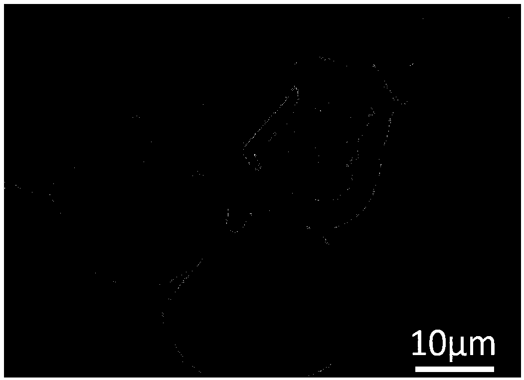 Photochromic composite fiber