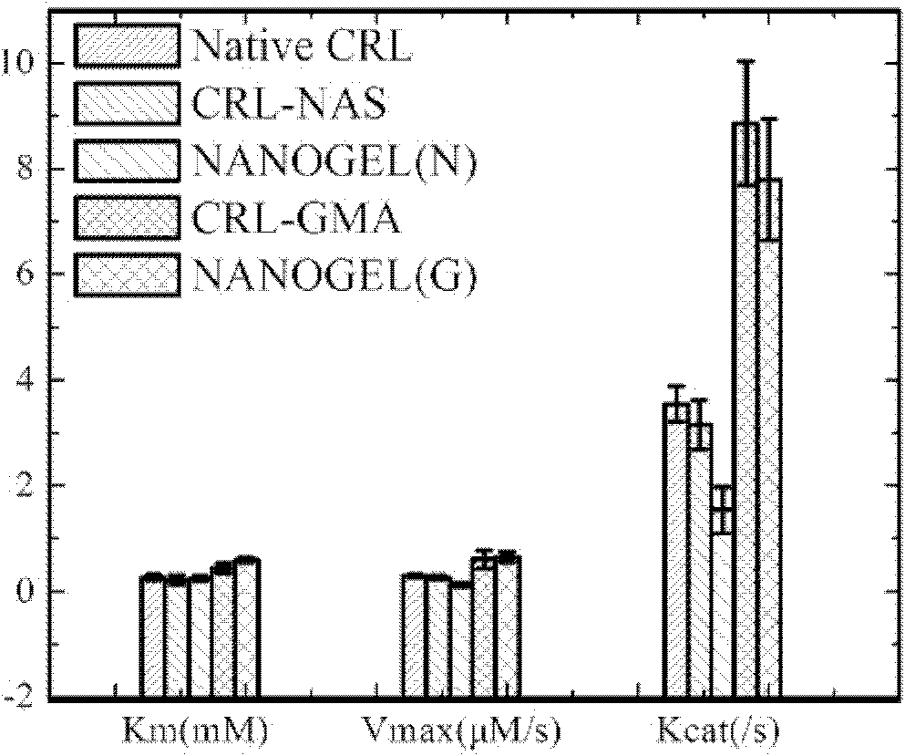 Lipase nano-sized polymer biocatalyst particle and preparation method thereof