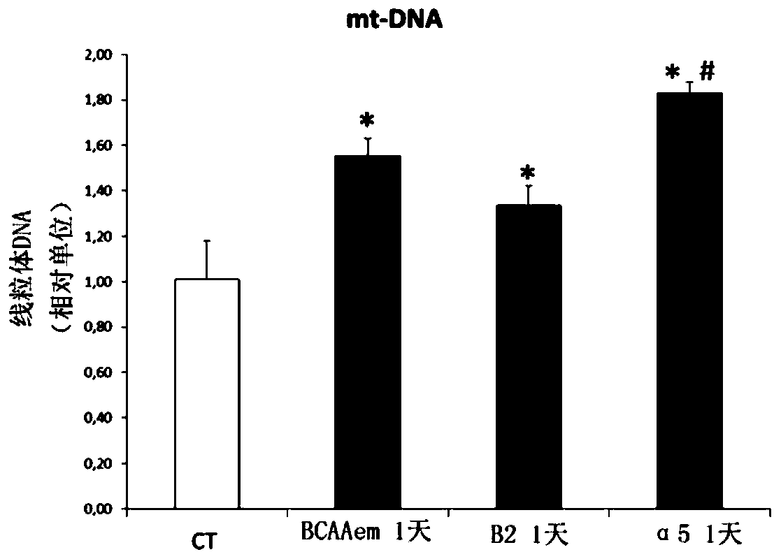 Compositions comprising amino acids for use in the treatment of mitochondrial dysfunction-related diseases