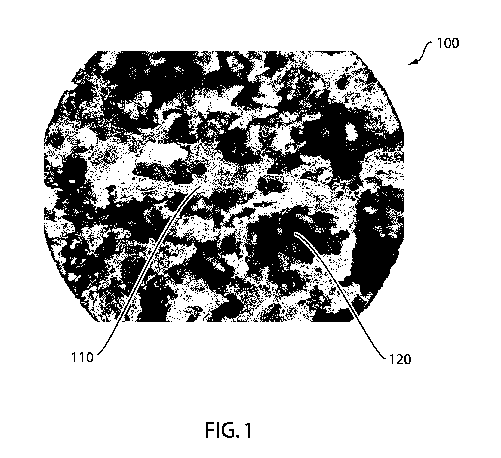 Devices and Methods for Tissue Engineering