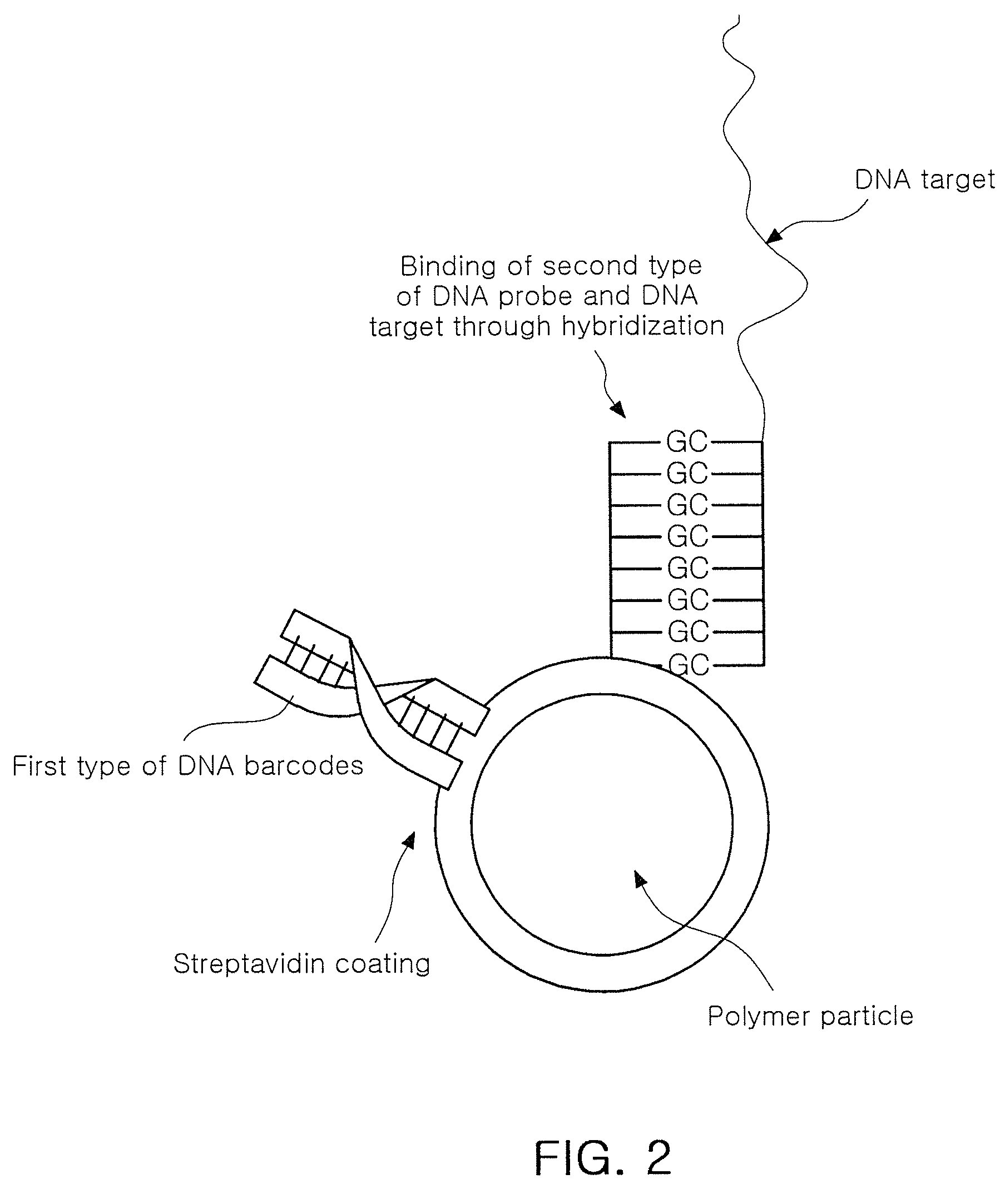 Method for detecting target biological material using DNA barcodes