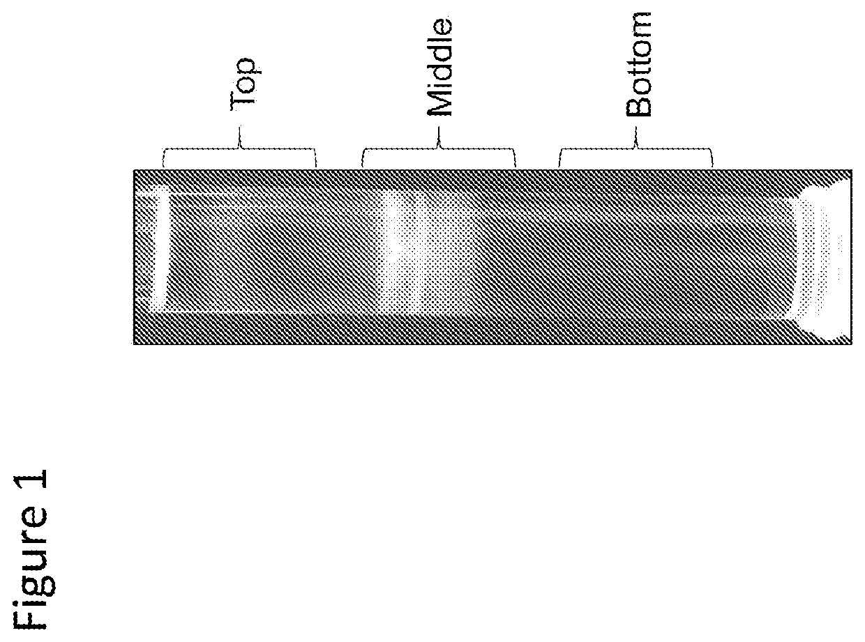 Treatment of cancer metastasis by targeting exosome proteins