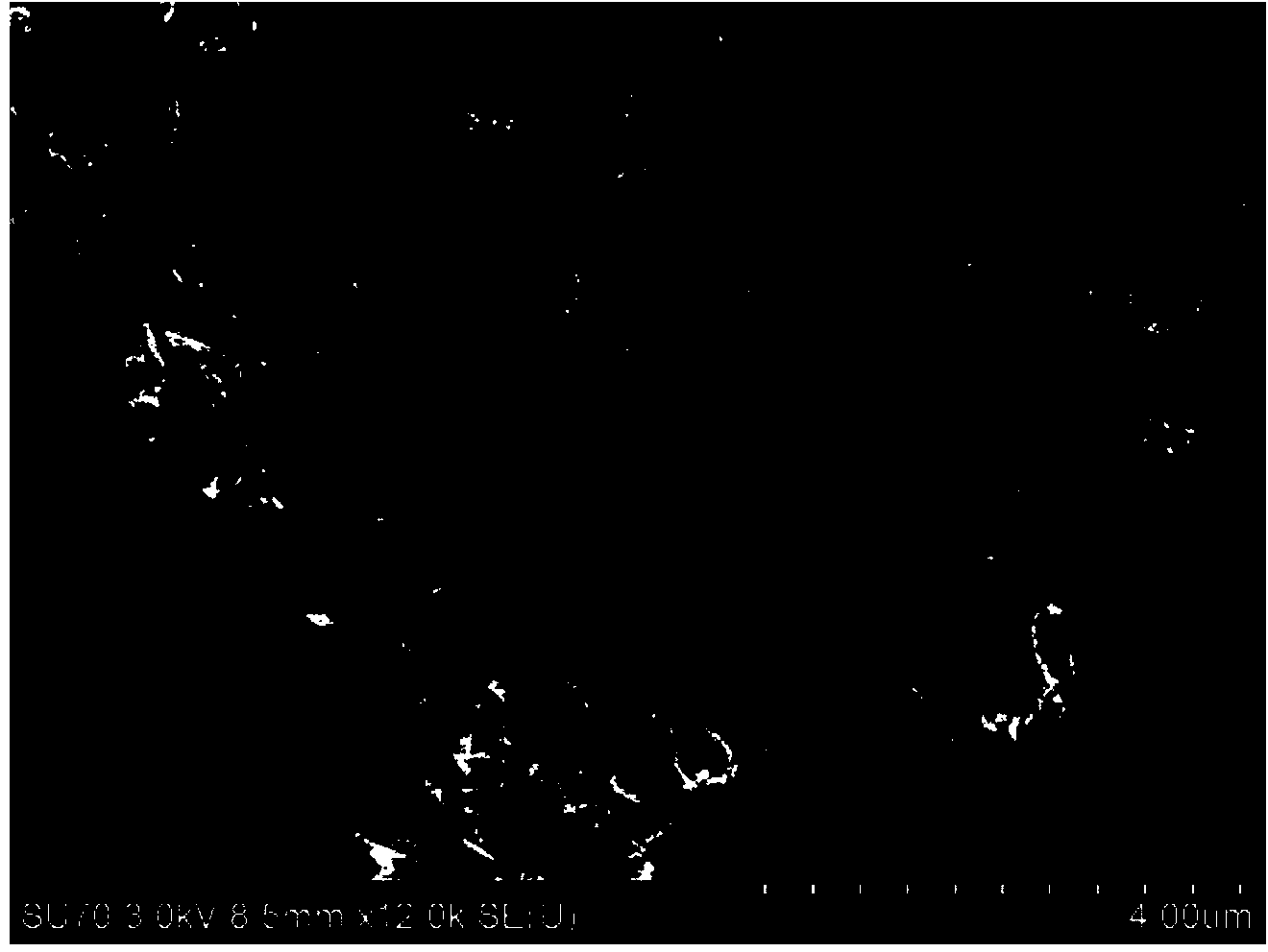 Preparation method of bismuth subcarbonate microflowers and product