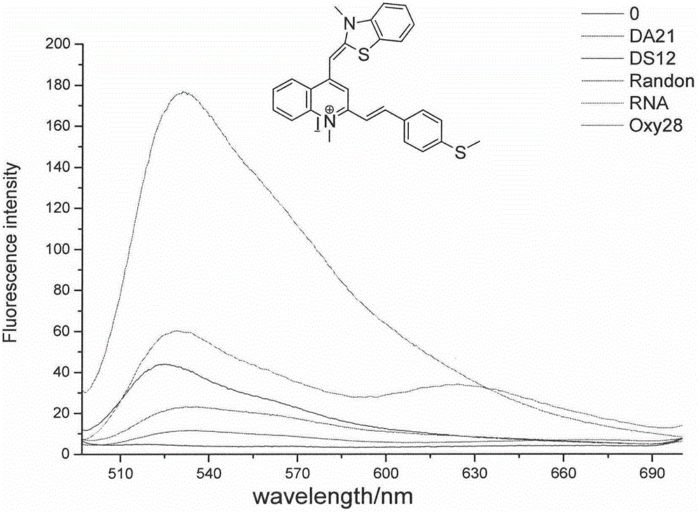 RNA fluorescent probe and manufacturing method and application thereof