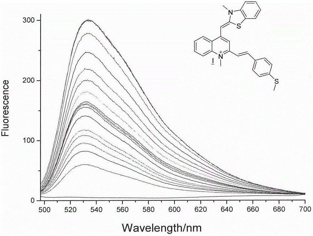 RNA fluorescent probe and manufacturing method and application thereof