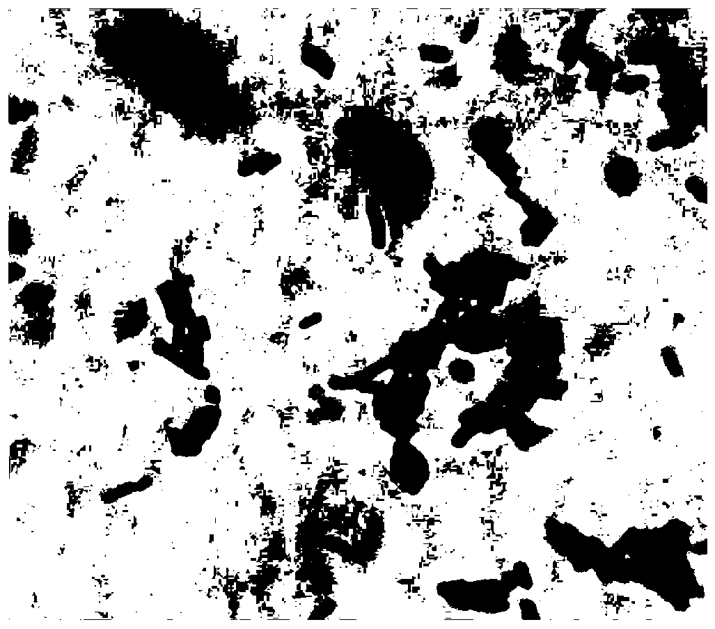 Lactobacillus paracasei producing bacteriocin and application thereof