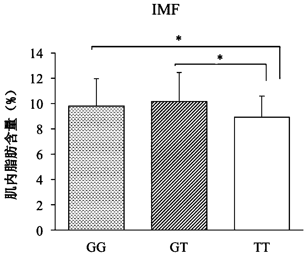 HOXA13 gene promoter region SNP site and application thereof to detection on intramuscular fat content of pigs