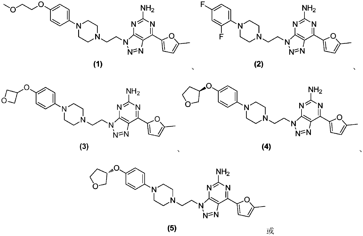 3H-[1, 2, 3] triazolo [4, 5-d] pyrimidine-5-amine derivative and application thereof