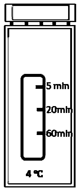 Visual label for indicating environment temperature change