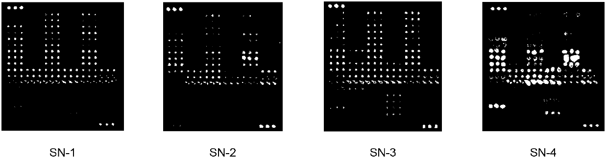 Method for detection of HIV-1 nucleoside inhibitor drug resistance mutation and kit