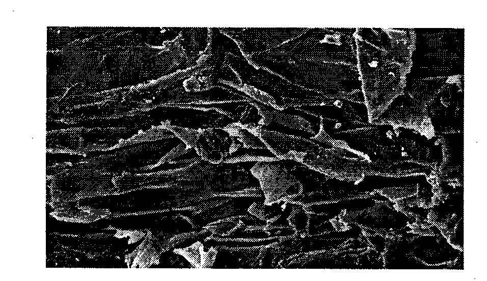 Bacillus subtilis and application thereof in sisal hemp degumming