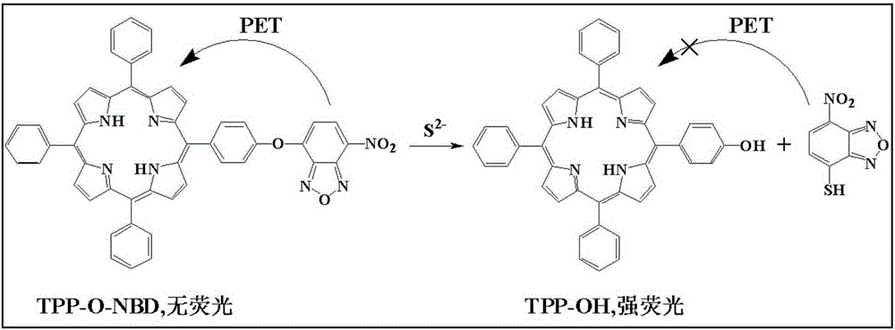 Preparation method and application of hydroxyl porphyrin-based high-selectivity near-infrared fluorescence sulfur ion probe