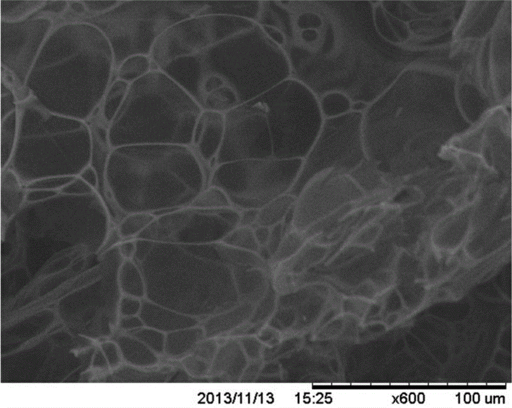 Thin-wall foam carbon material with nanoscale wall thickness and preparation method thereof