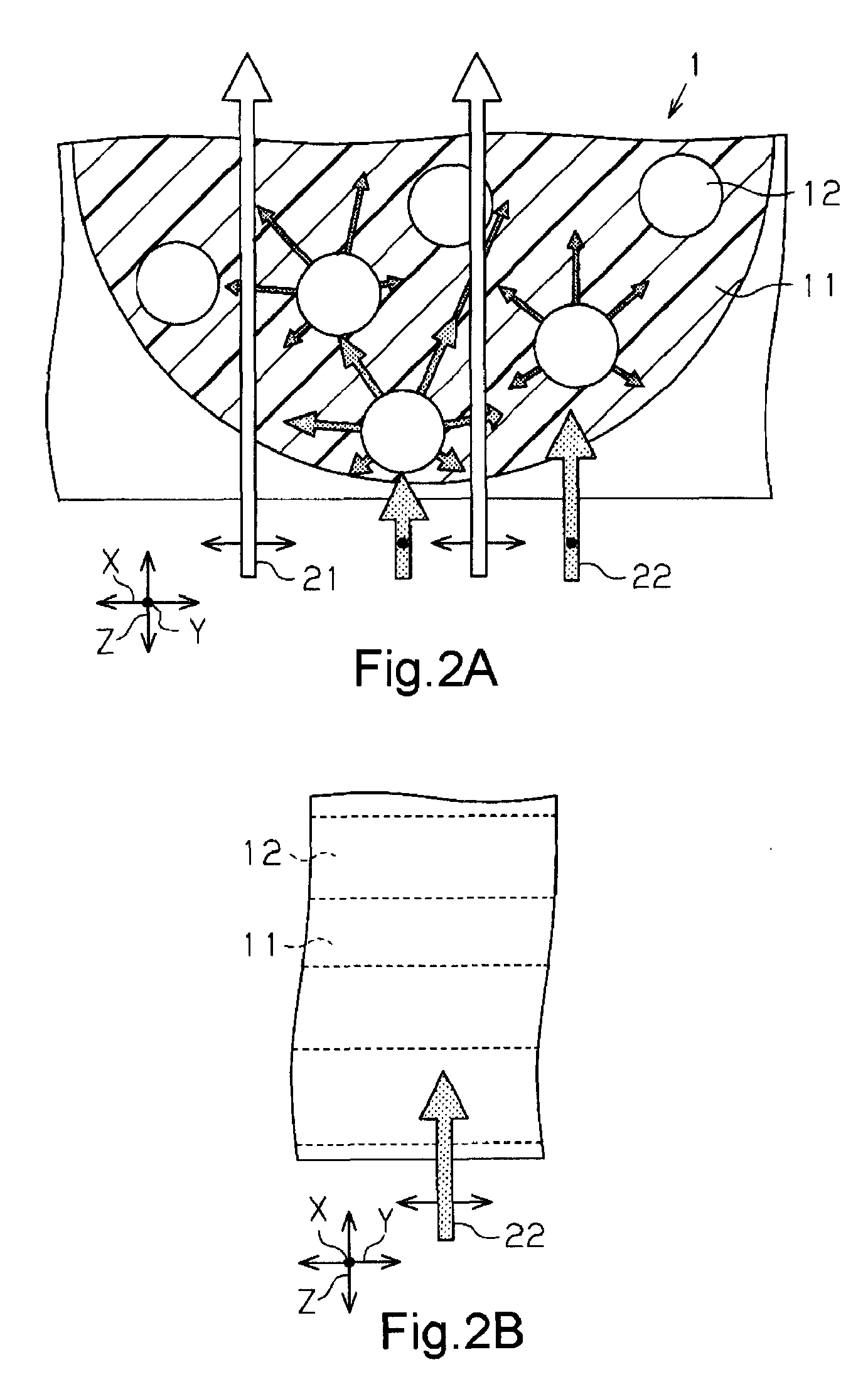 Polarizing fiber, polarizer, polarizing plate, laminated optical film, and image display