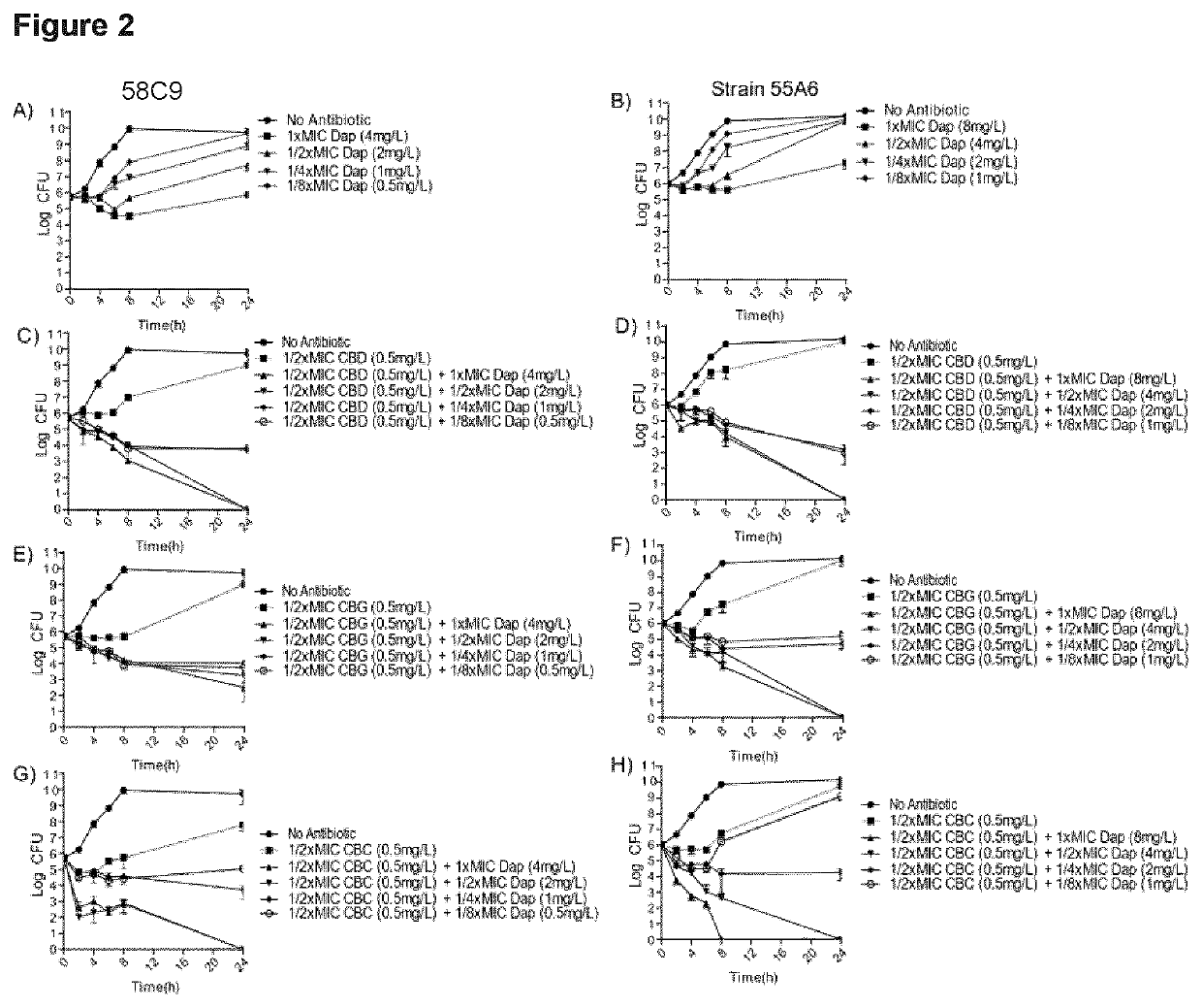 Antibiotic cannabinoid-terpene formulations