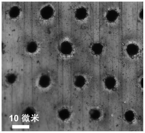 Homologous metal gradient material and preparation method and application thereof