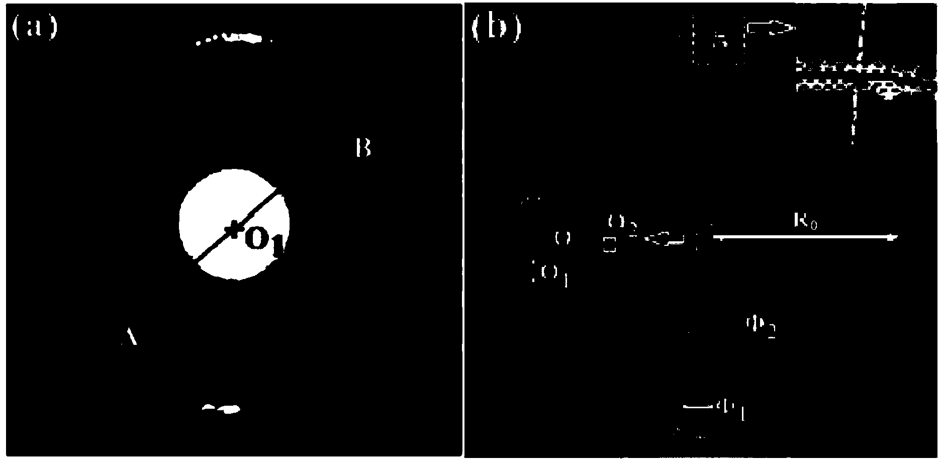 Microscopy characterization and evaluation method of homogeneity of carbon fibers