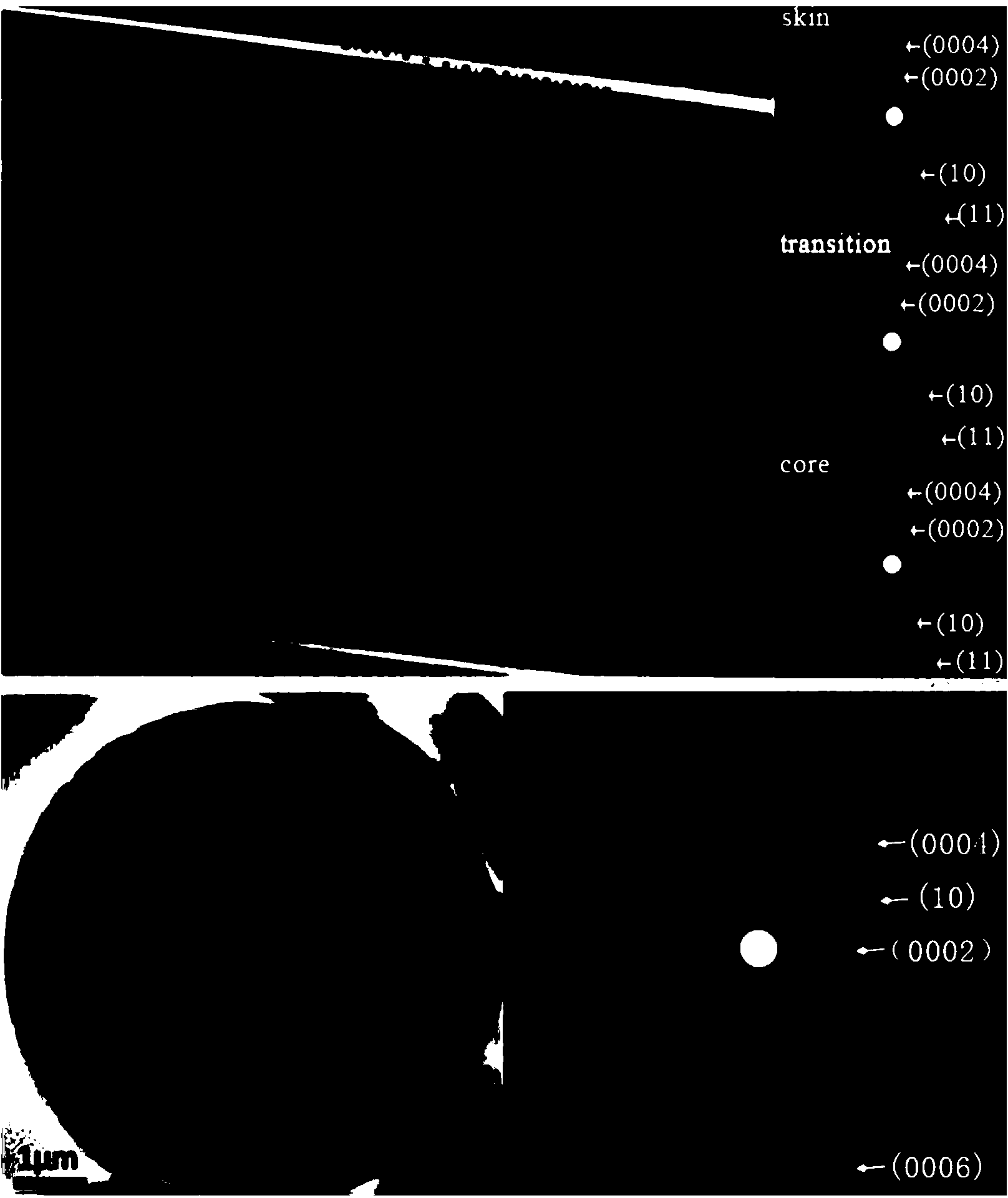 Microscopy characterization and evaluation method of homogeneity of carbon fibers