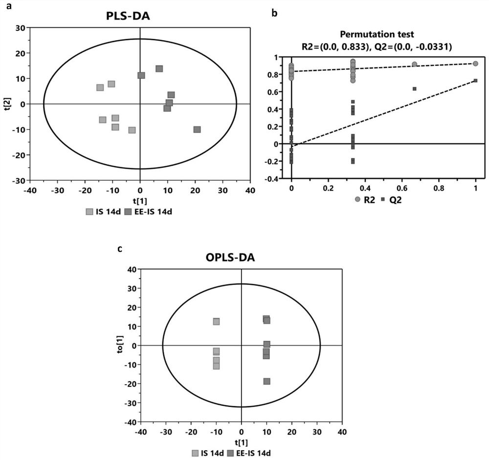 Echinacea purpurea extract, and preparation method and applications thereof in metabonomics