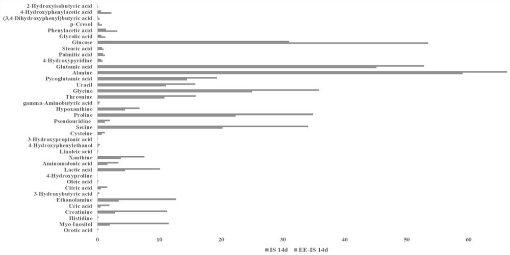 Echinacea purpurea extract, and preparation method and applications thereof in metabonomics