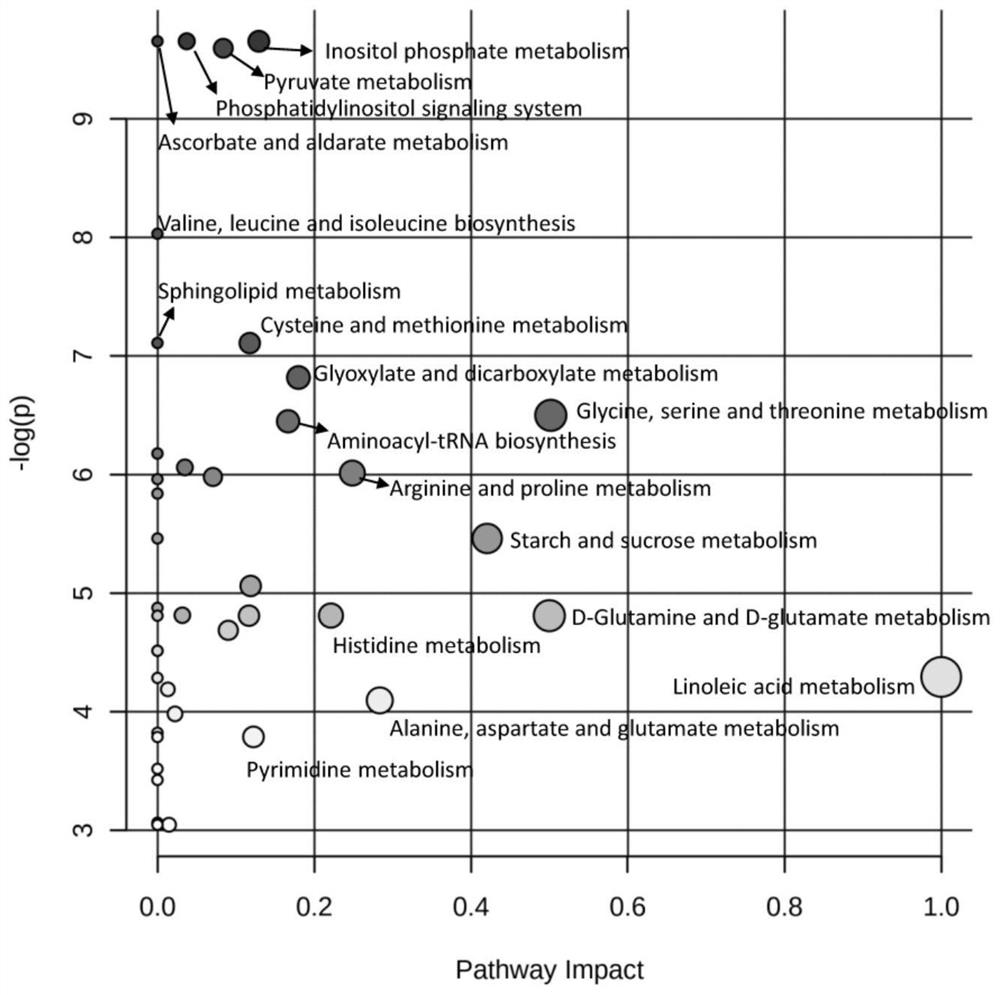 Echinacea purpurea extract, and preparation method and applications thereof in metabonomics